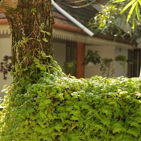 Mi Casa Tu Casa Apartment Kochi Luaran gambar